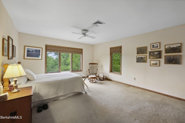 29 Old Village Rd, Alford, MA 01230 - photo 40