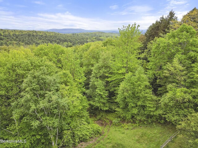 29 Old Village Rd, Alford, MA 01230 - photo 60
