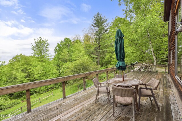 29 Old Village Rd, Alford, MA 01230 - photo 59