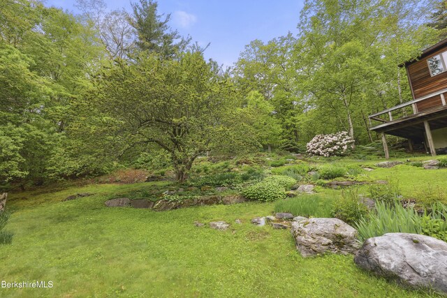 29 Old Village Rd, Alford, MA 01230 - photo 57