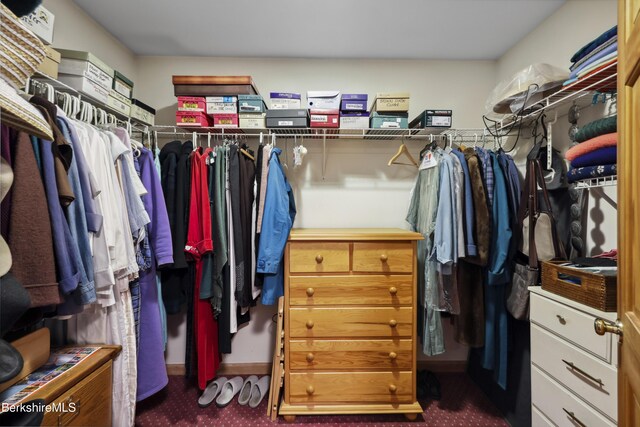 29 Old Village Rd, Alford, MA 01230 - photo 30