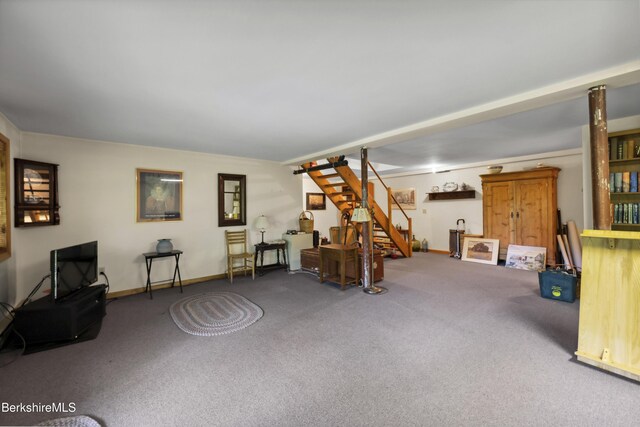 29 Old Village Rd, Alford, MA 01230 - photo 68
