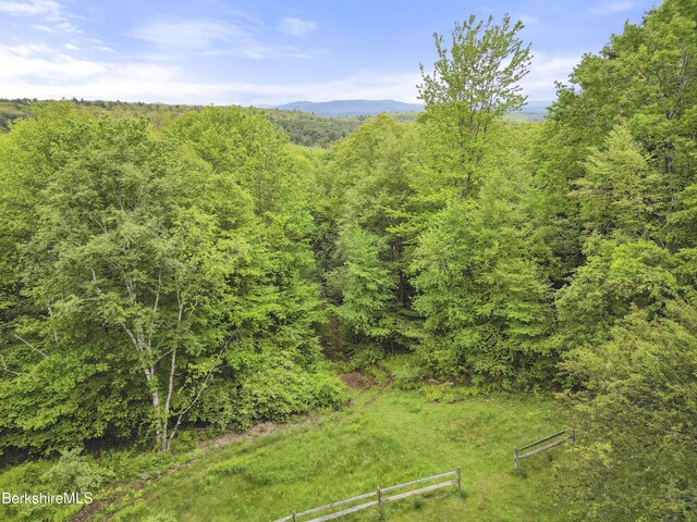 29 Old Village Rd, Alford, MA 01230 - photo 61