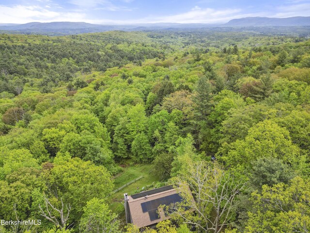 29 Old Village Rd, Alford, MA 01230 - photo 4