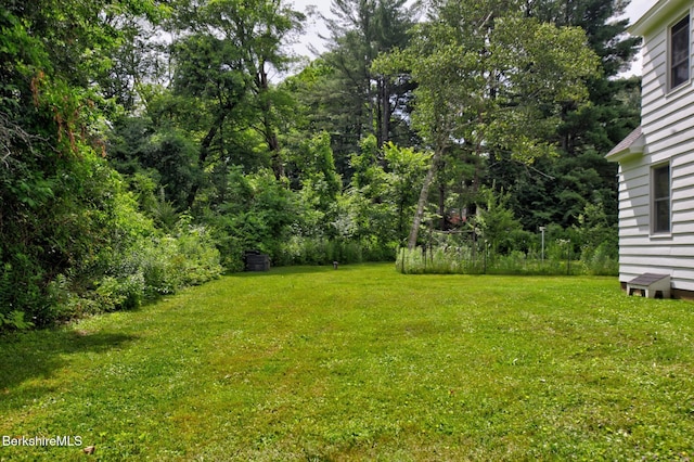 18 E St, Stockbridge, MA 01262 - photo 24