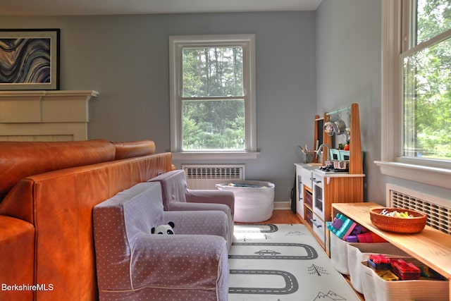 18 E St, Stockbridge, MA 01262 - photo 10