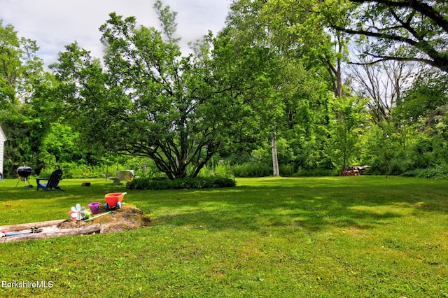 18 E St, Stockbridge, MA 01262 - photo 23