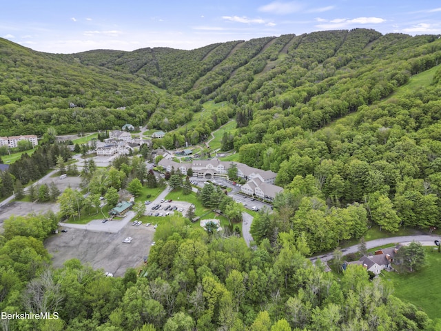 94 Corey Rd Unit D, Hancock, MA 01237 - aerial view of property and surrounding area featuring a forest and a mountain backdrop