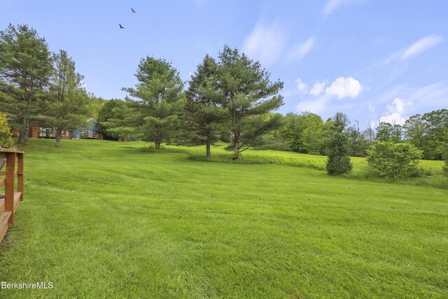 94 Corey Rd Unit D, Hancock, MA 01237 - view of green lawn