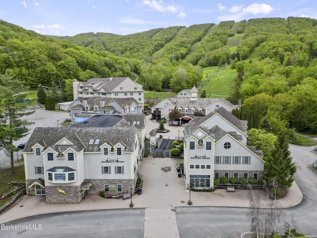 94 Corey Rd Unit D, Hancock, MA 01237 - drone / aerial view of a forest
