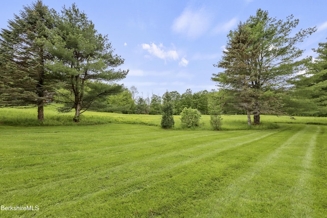 94 Corey Rd Unit D, Hancock, MA 01237 - view of grassy yard