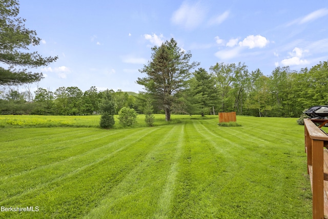 94 Corey Rd Unit D, Hancock, MA 01237 - view of green lawn