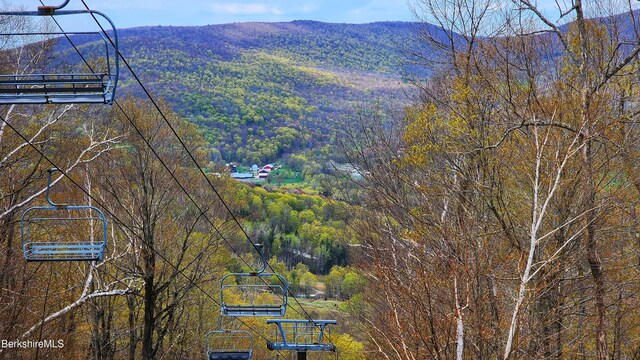 94 Corey Rd Unit D, Hancock, MA 01237 - view of mountain backdrop featuring a heavily wooded area