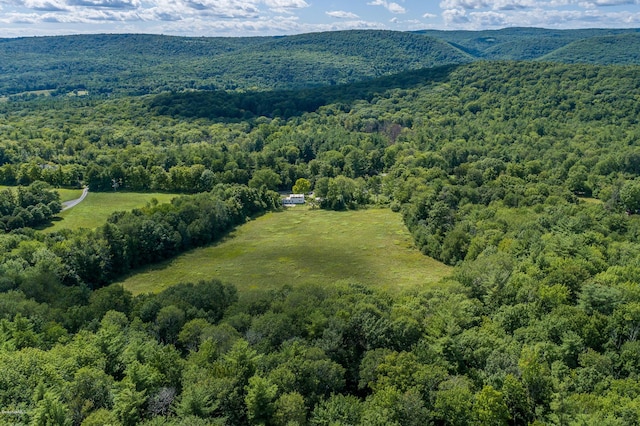 birds eye view of property featuring a mountain view