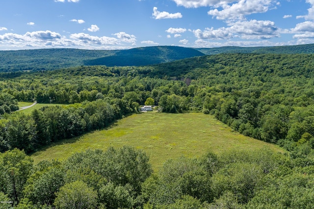 birds eye view of property featuring a mountain view