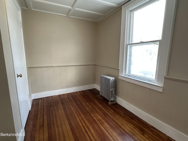 spare room featuring dark hardwood / wood-style flooring, radiator, and a wealth of natural light