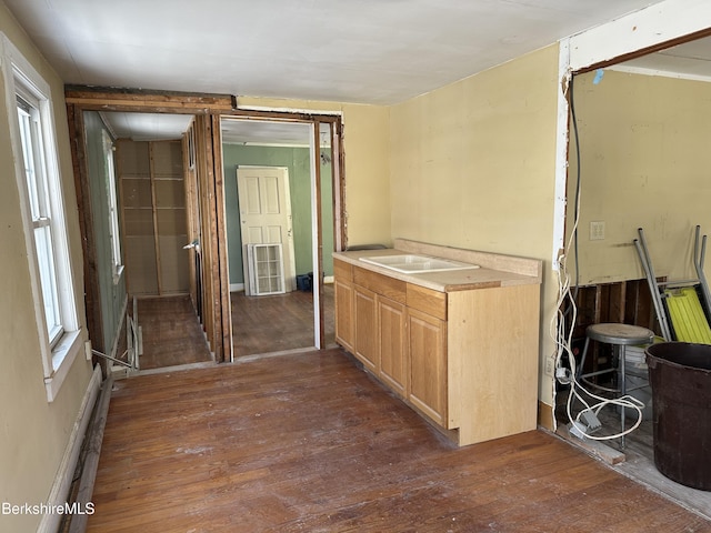 kitchen with dark hardwood / wood-style floors and sink