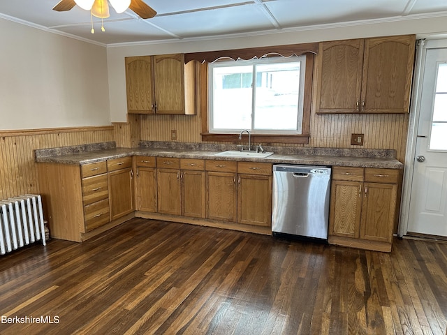 kitchen featuring sink, dark wood-type flooring, radiator heating unit, plenty of natural light, and stainless steel dishwasher