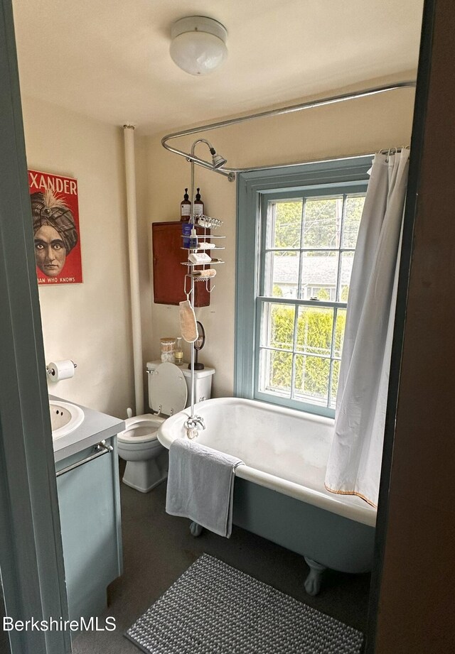 3 Swamp Rd, West Stockbridge, MA 01266 - full bath featuring a freestanding bath, toilet, and vanity