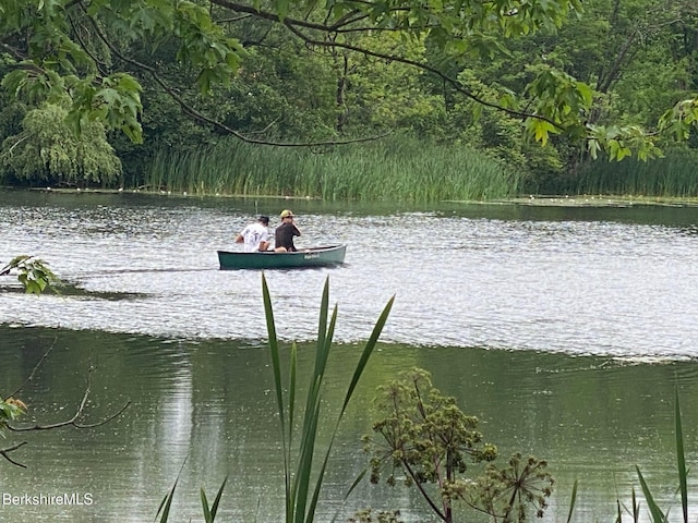 3 Swamp Rd, West Stockbridge, MA 01266 - water view featuring a heavily wooded area