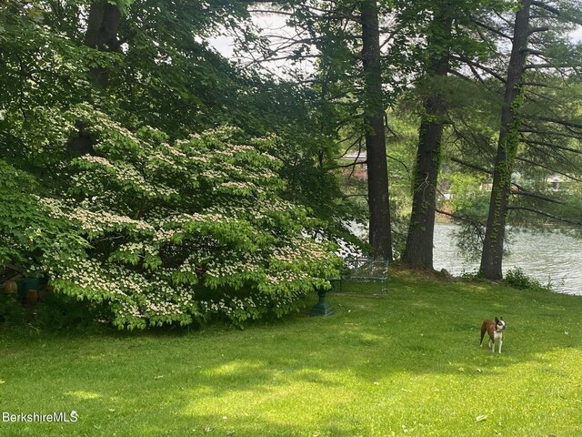 3 Swamp Rd, West Stockbridge, MA 01266 - view of grassy yard featuring a water view