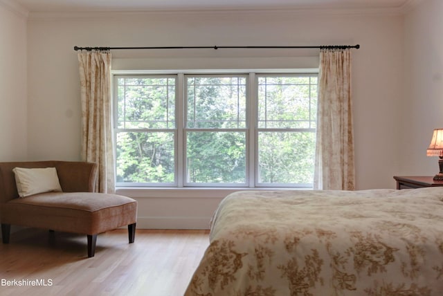 7 Perry Rd, Sandisfield, MA 01255 - bedroom featuring light wood-style flooring and ornamental molding