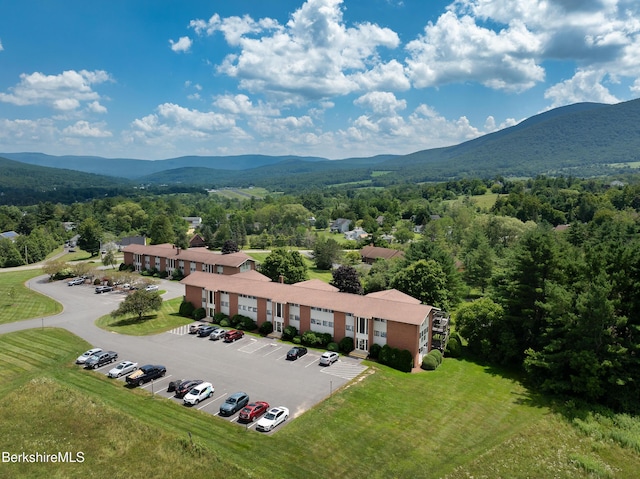 189 Stratton Rd Unit D-3, Williamstown, MA 01267 - photo 29