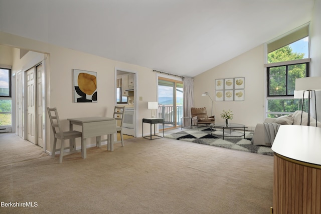 189 Stratton Rd Unit D-3, Williamstown, MA 01267 - photo 7