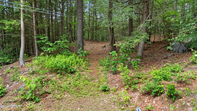 6 Brookside Gln, Huntington, MA 01050 - photo 38