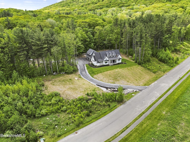 18 Old Farm Ln, Pittsfield, MA 01201 - photo 69