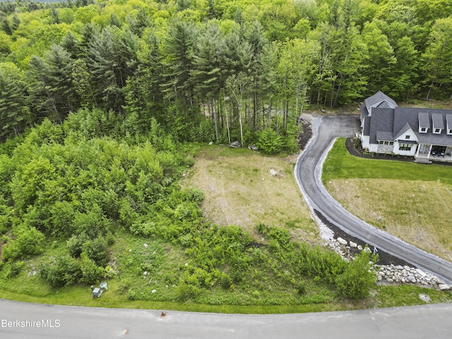 18 Old Farm Ln, Pittsfield, MA 01201 - photo 68