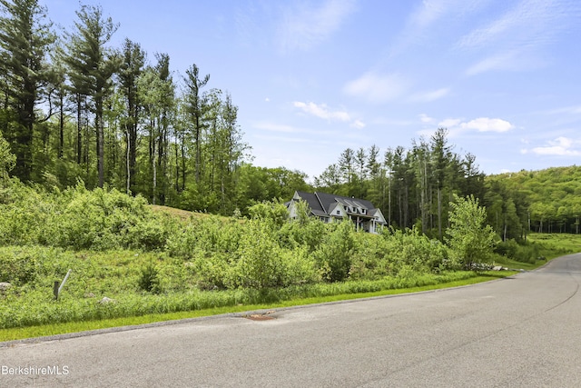 18 Old Farm Ln, Pittsfield, MA 01201 - photo 72