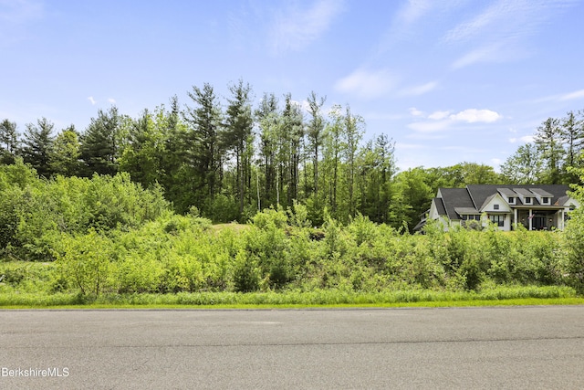 18 Old Farm Ln, Pittsfield, MA 01201 - photo 73
