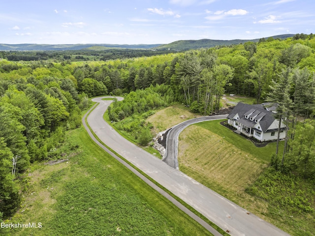18 Old Farm Ln, Pittsfield, MA 01201 - photo 2