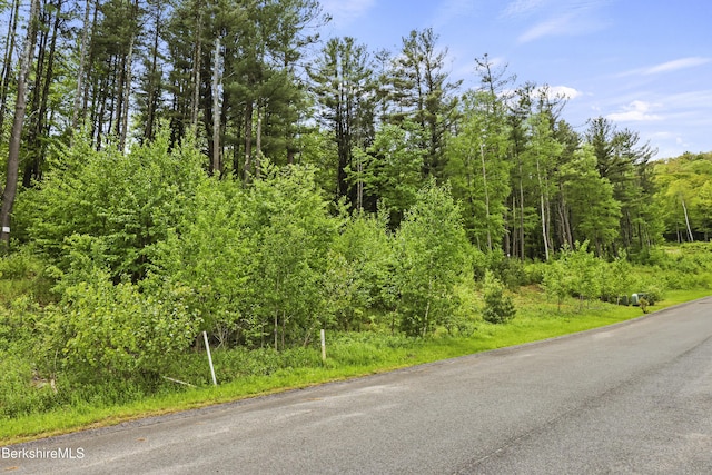 18 Old Farm Ln, Pittsfield, MA 01201 - photo 74