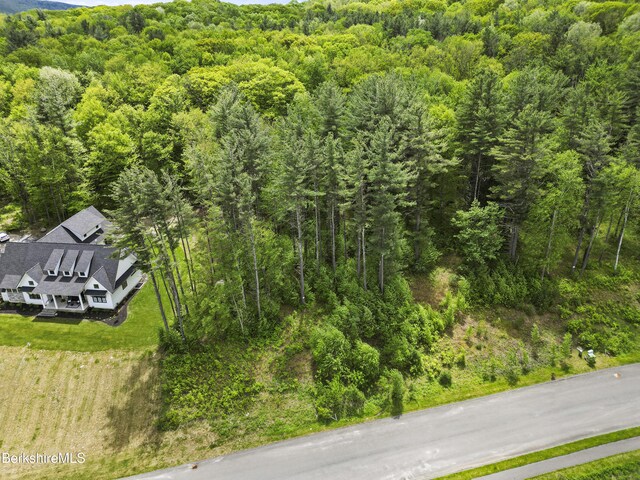18 Old Farm Ln, Pittsfield, MA 01201 - photo 66