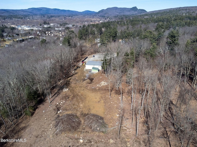 11 Roger Rd, Great Barrington MA, 01230 land for sale