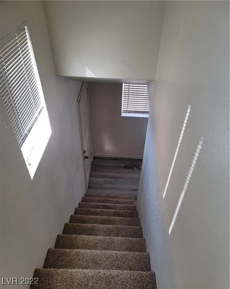 staircase featuring a towering ceiling, hardwood / wood-style flooring, and a healthy amount of sunlight