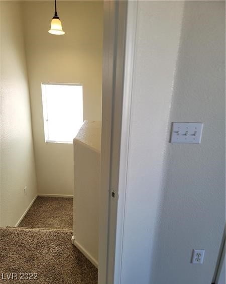 interior space featuring carpet floors