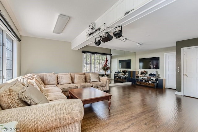 living room with dark hardwood / wood-style floors