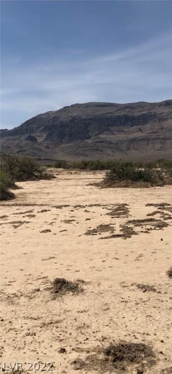 5871 Amadeo Pl, Pahrump, NV 89060 - photo 3