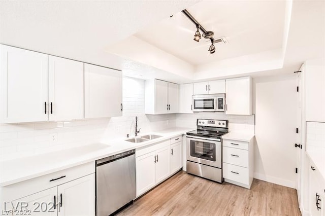 kitchen with white cabinets, sink, a tray ceiling, and stainless steel appliances