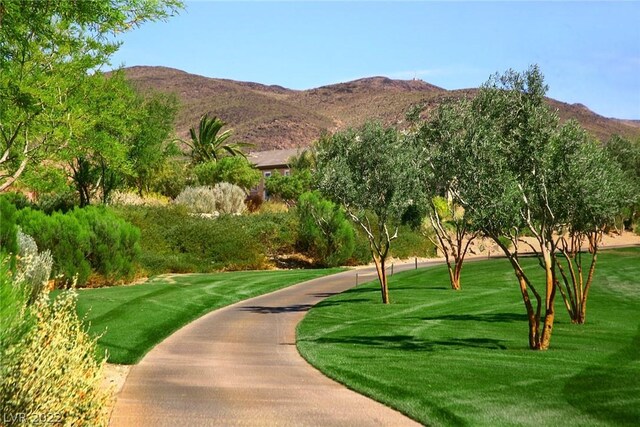 631 Grand Rim Dr, Henderson, NV 89012 - photo 20