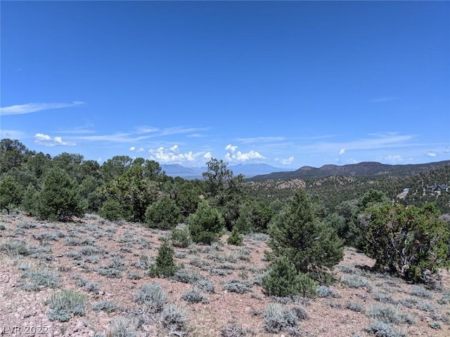 Pinion Pine Rd, Pioche NV, 89043 land for sale