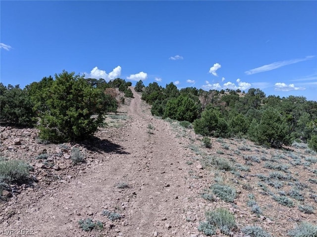 Listing photo 2 for Pinion Pine Rd, Pioche NV 89043