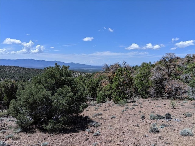 Listing photo 3 for Pinion Pine Rd, Pioche NV 89043