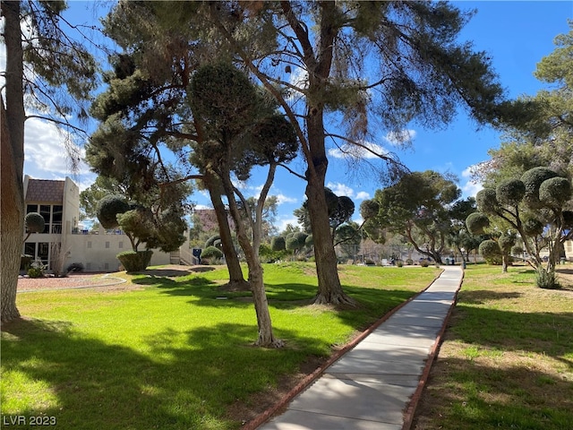 view of property's community featuring a lawn