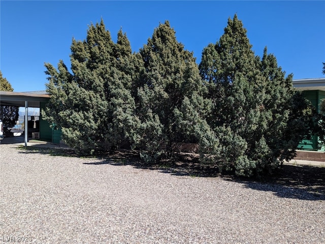 view of yard featuring a carport