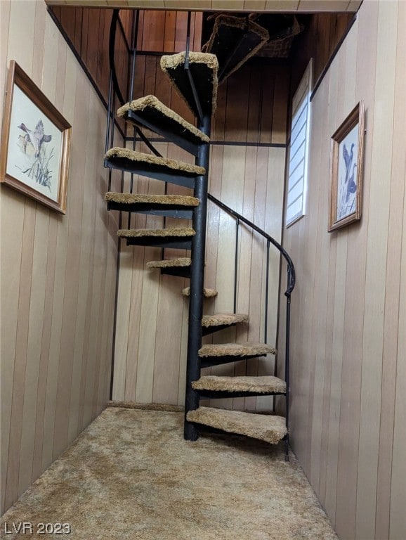 staircase featuring carpet