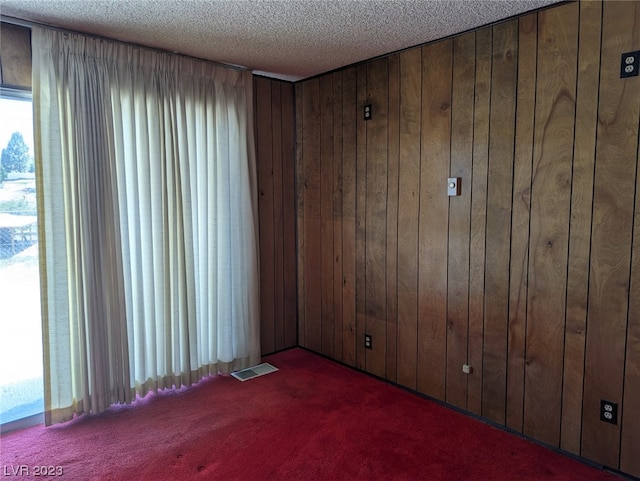 carpeted spare room with wooden walls, a healthy amount of sunlight, and a textured ceiling